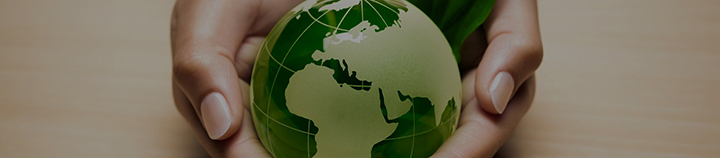 Environmental Protection and Sustainability